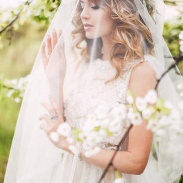 Фотография #544604, , автор: Ирина Шуранова