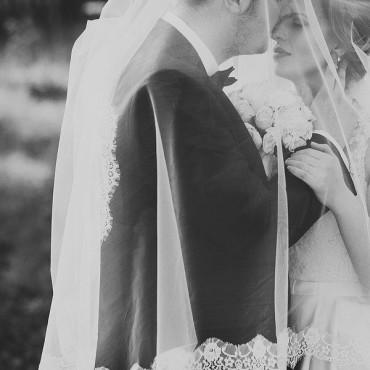 Фотография #545638, свадебная фотосъемка, автор: Анастасия Макушкина