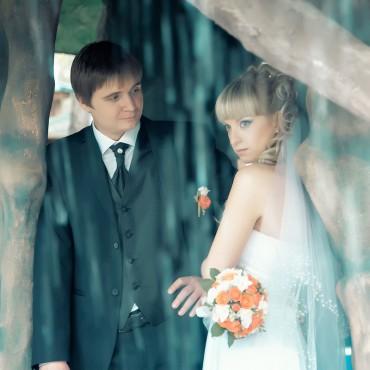Фотография #548444, свадебная фотосъемка, автор: Дмитрий Чечевицын