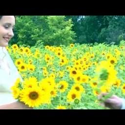 Видео #489591, автор: Дина Желтышева