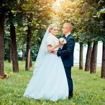 Фотография #492400, свадебная фотосъемка, автор: Антон Аверин