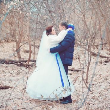 Фотография #492417, свадебная фотосъемка, автор: Антон Аверин