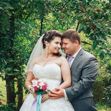 Фотография #500565, свадебная фотосъемка, автор: Дина Устиненко