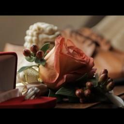 Видео #489611, автор: Никита Федосин Видео #489611, автор: Никита Федосин
