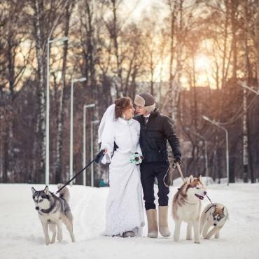 Фотография #493618, свадебная фотосъемка, автор: Алексей Широких