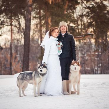 Фотография #493619, свадебная фотосъемка, автор: Алексей Широких