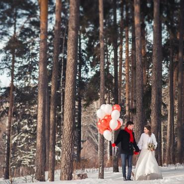 Фотография #493093, свадебная фотосъемка, автор: Алексей Широких