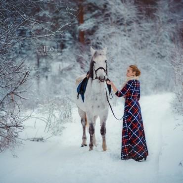 Фотография #502756, , автор: Юлия Логинова