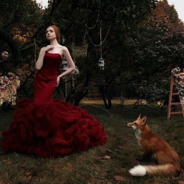 Фотография #499976, студийная фотосъемка, автор: Илона Ди