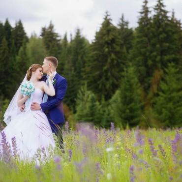 Фотография #494205, свадебная фотосъемка, автор: Наталия Котова