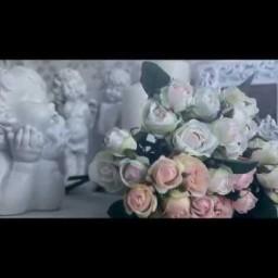 Видео #154, автор: Олег Васильев