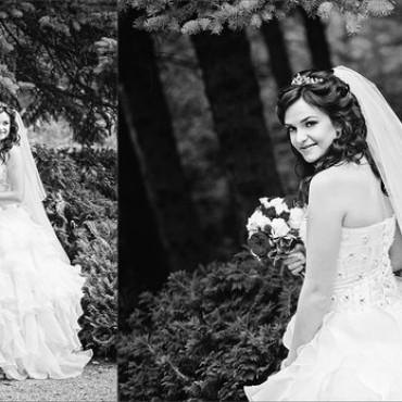 Фотография #3747, , автор: Светлана Семенова