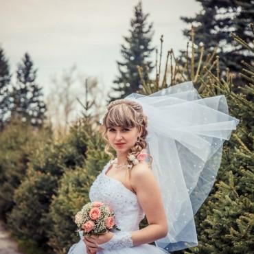 Фотография #5383, свадебная фотосъемка, автор: Алексей Павлов