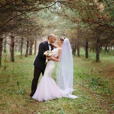 Фотография #11571, свадебная фотосъемка, автор: Сергей Киреев