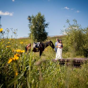 Фотография #2469, свадебная фотосъемка, автор: Анастасия Полянцева