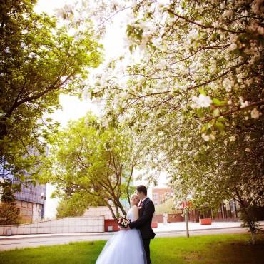 Фотография #8708, свадебная фотосъемка, автор: Виктория Климова