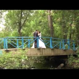 Видео #424798, автор: Сергей Романов