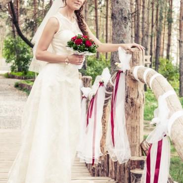 Фотография #428417, свадебная фотосъемка, автор: Дмитрий Новиков