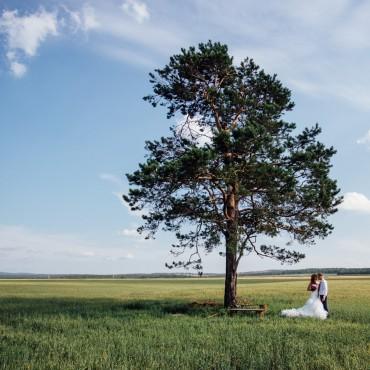 Фотография #464212, свадебная фотосъемка, автор: Николай Евтюхов