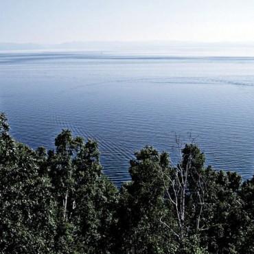 Фотография #464411, выездная фотосъемка, автор: Дарья Никульцова