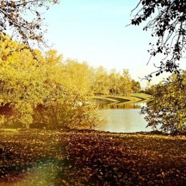 Фотография #464410, выездная фотосъемка, автор: Дарья Никульцова