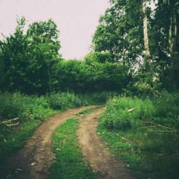 Фотография #464415, выездная фотосъемка, автор: Дарья Никульцова