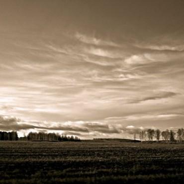 Фотография #464413, выездная фотосъемка, автор: Дарья Никульцова