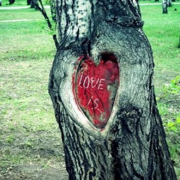 Фотография #464408, выездная фотосъемка, автор: Дарья Никульцова