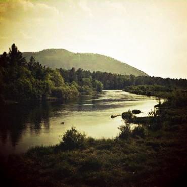 Фотография #464409, выездная фотосъемка, автор: Дарья Никульцова