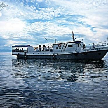 Фотография #464412, выездная фотосъемка, автор: Дарья Никульцова