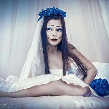 fe6dbada1d687682af771e3458b372a9.jpg