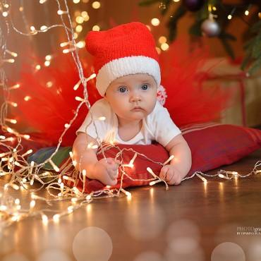 Фотография #487425, , автор: Марина Опарина
