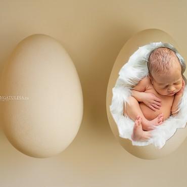 Фотография #489001, , автор: Анна Сунгатулина