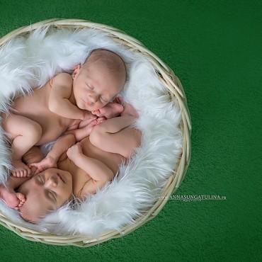 Фотография #488989, , автор: Анна Сунгатулина