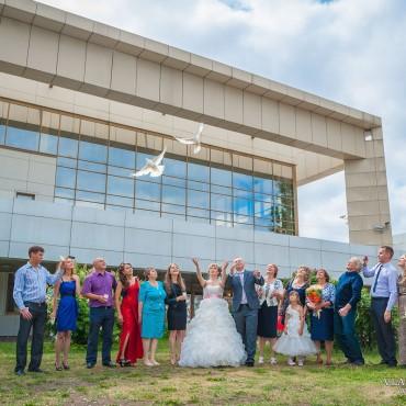 Фотография #474866, свадебная фотосъемка, автор: Владимир Гришин