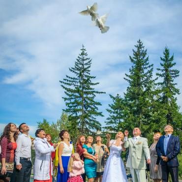 Фотография #474839, свадебная фотосъемка, автор: Владимир Гришин