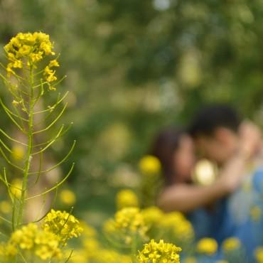 Фотография #476151, lovestory, автор: Валентина Папирник