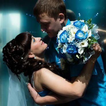 Фотография #476762, свадебная фотосъемка, автор: Светлана Позднякова