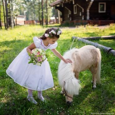 Фотография #477207, свадебная фотосъемка, автор: Денис Куренков