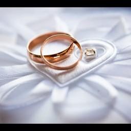 Видео #463122, автор: Матвей Антонов