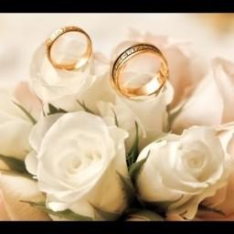 Видео #463123, автор: Матвей Антонов