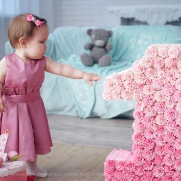 Фотография #484404, студийная фотосъемка, автор: Аня Лена
