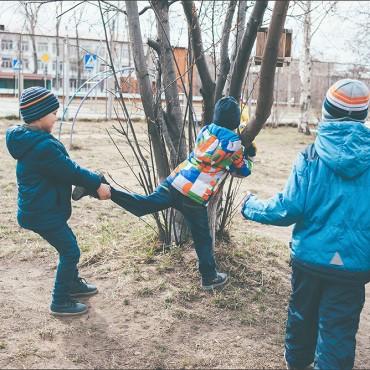 Фотография #488879, , автор: Светлана Хаирова
