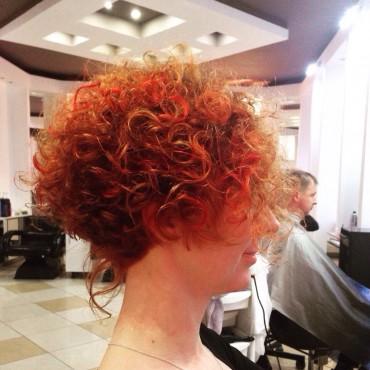 Фотография #327998, , автор: Ксения Емельянова