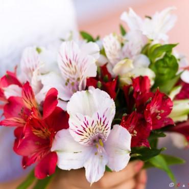 Фотография #329064, свадебная фотосъемка, автор: Сергей Трофимов