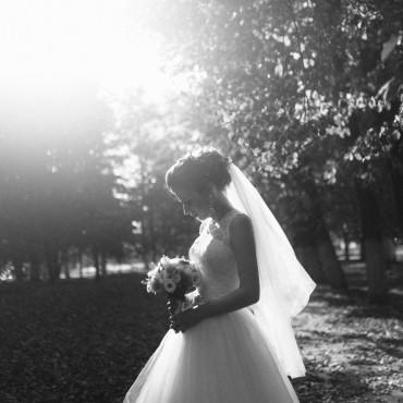 Фотография #329453, свадебная фотосъемка, автор: Василий Климов