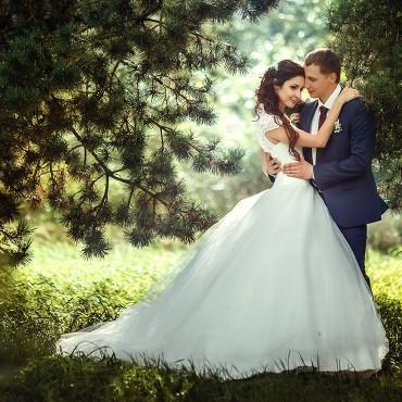 Фотография #329706, свадебная фотосъемка, автор: Ольга Сергеева