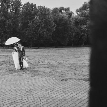 Фотография #331255, свадебная фотосъемка, автор: Денис Медоваров