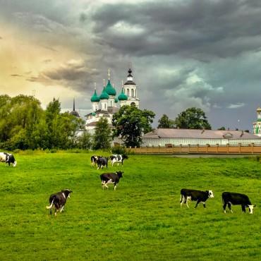 Фотография #334970, , автор: Владимир Голиков