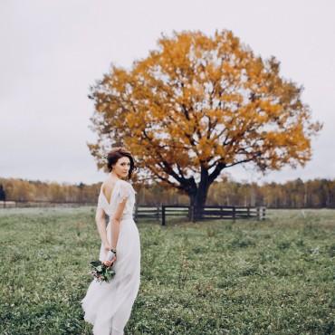 Фотография #332567, свадебная фотосъемка, автор: Алексей Погорелов